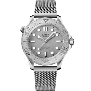Seamaster Diver 300M Co‑Axial Master Chronometer 42 mm